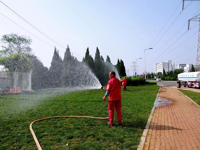 晝夜奮戰添新綠，通力合作促完工